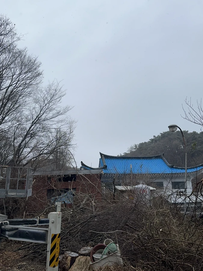 벌목,벌초