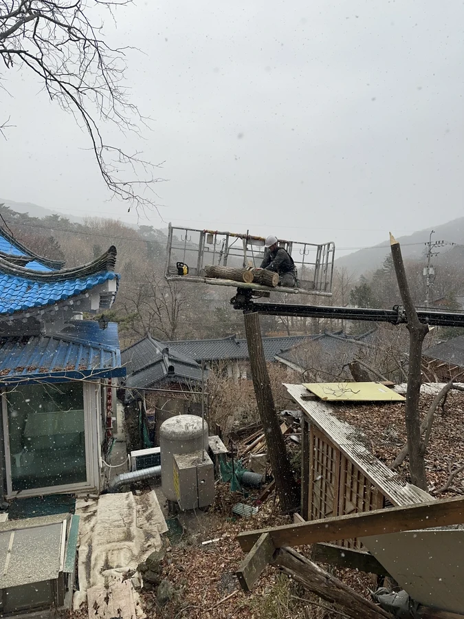 벌목,벌초