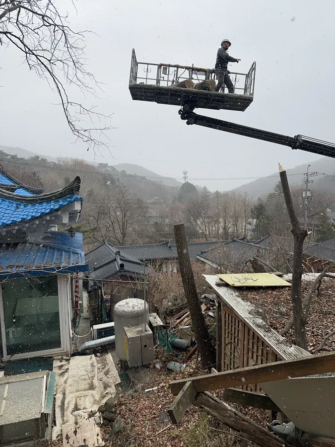 벌목,벌초