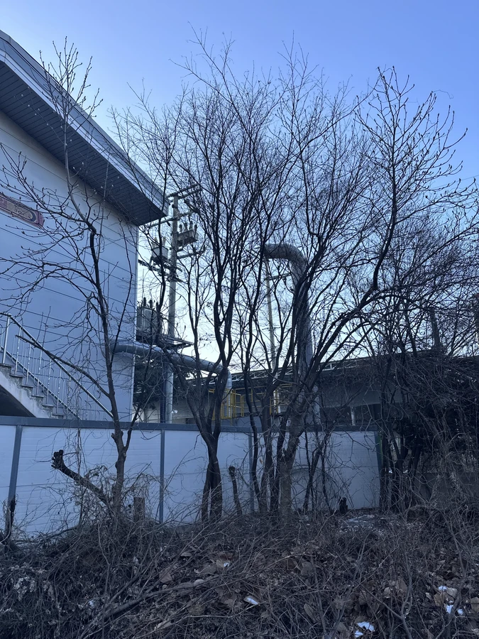 벌목,벌초