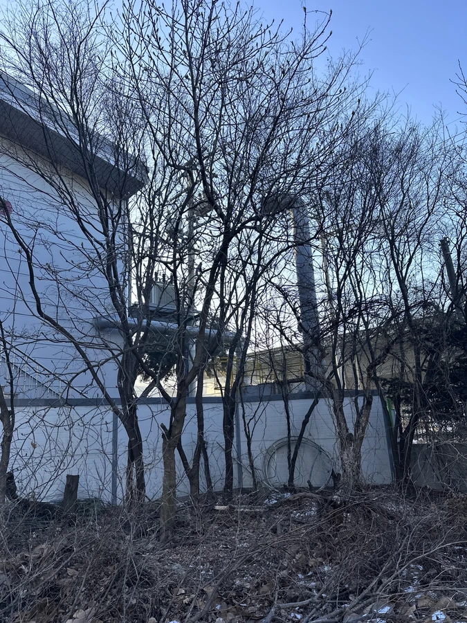 벌목,벌초