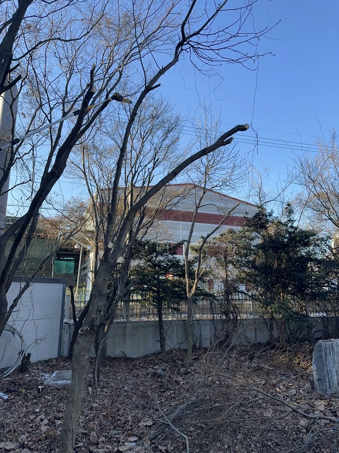 벌목,벌초