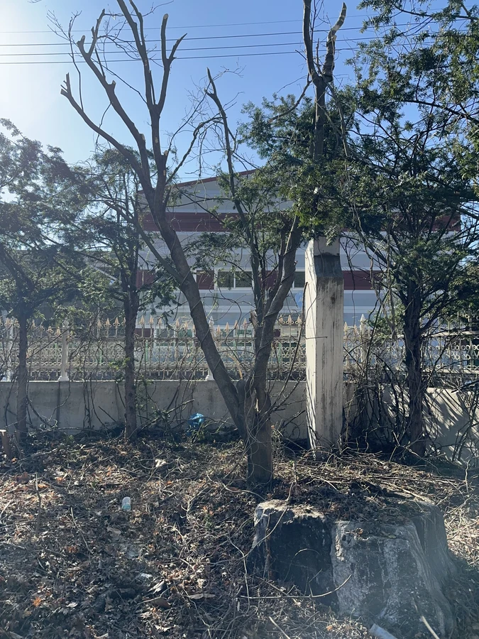 벌목,벌초