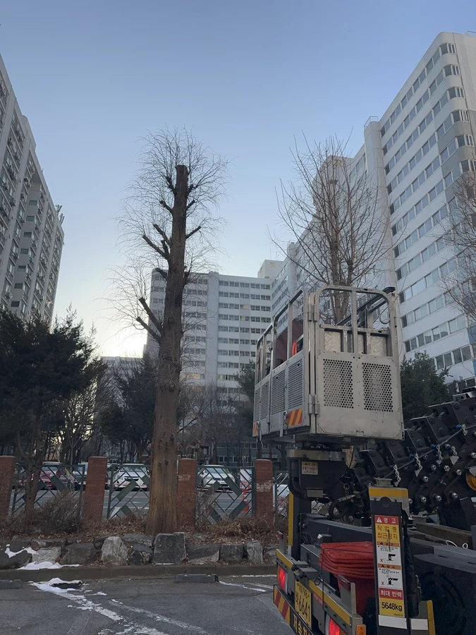 벌목,벌초