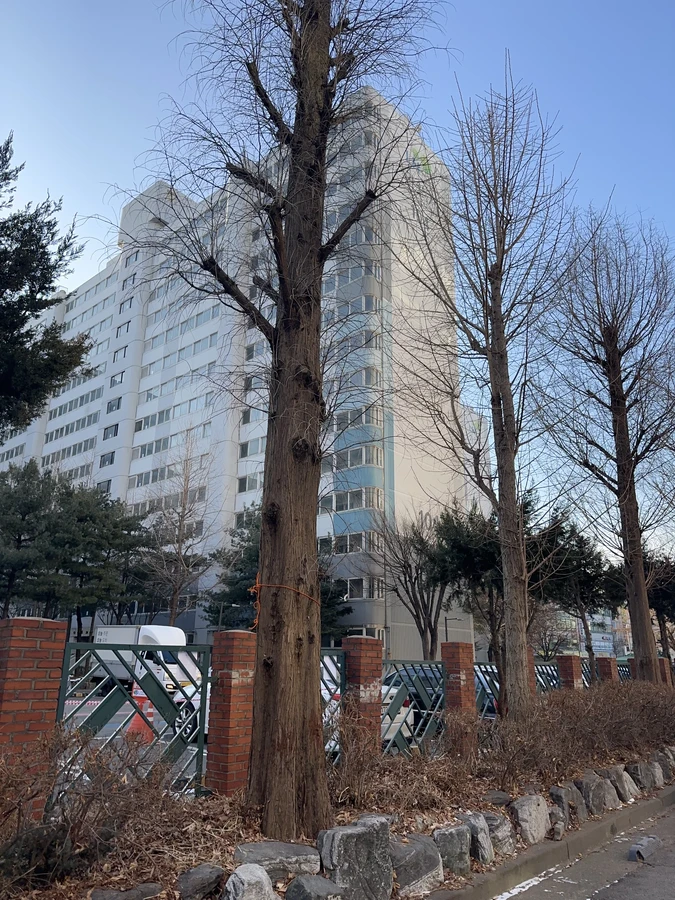 벌목,벌초