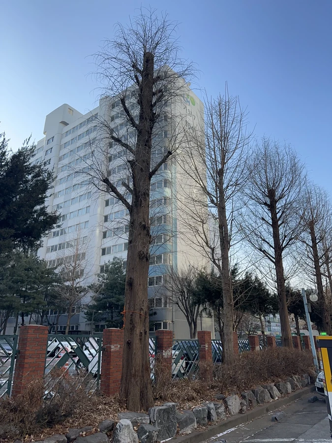 벌목,벌초