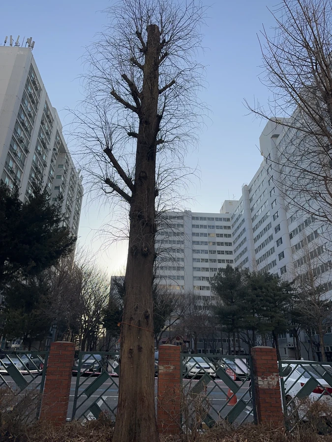 벌목,벌초