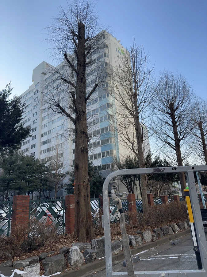 벌목,벌초