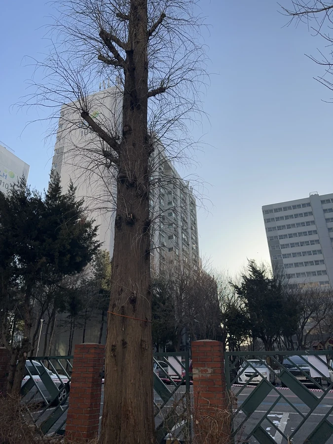 벌목,벌초