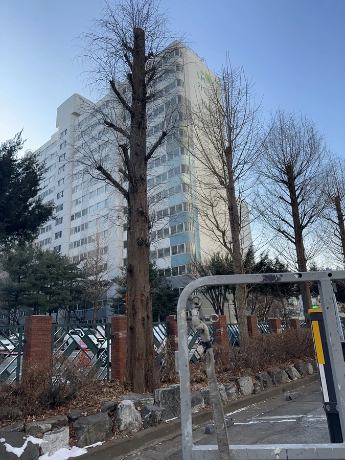 벌목,벌초