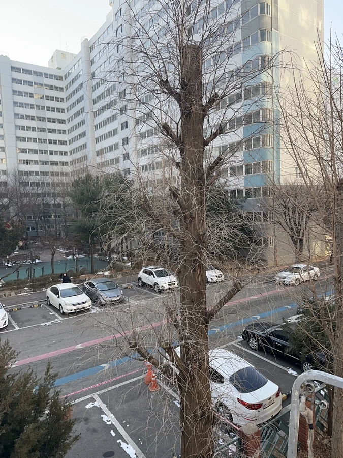 벌목,벌초