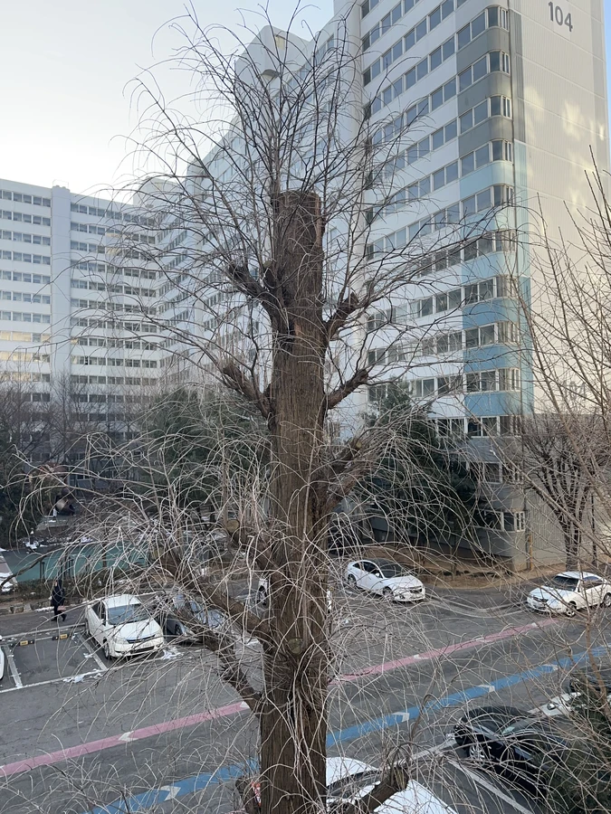 벌목,벌초
