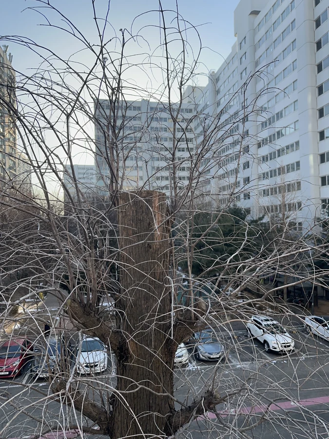 벌목,벌초