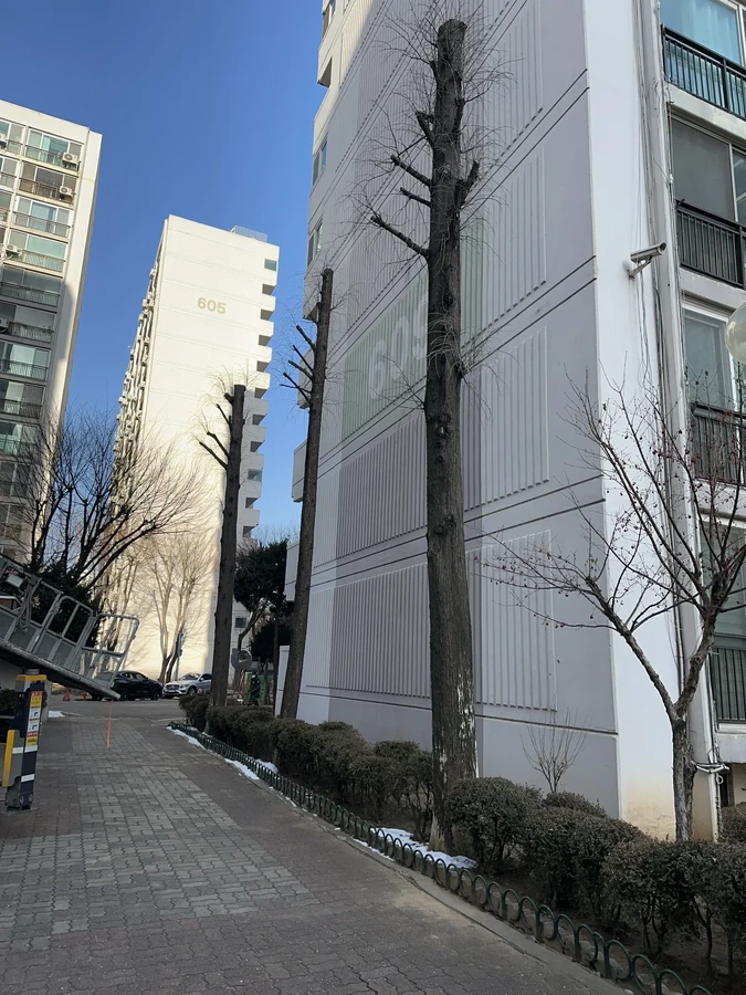벌목,벌초