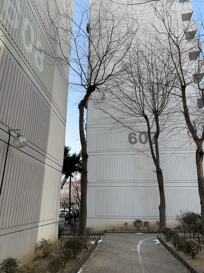 벌목,벌초