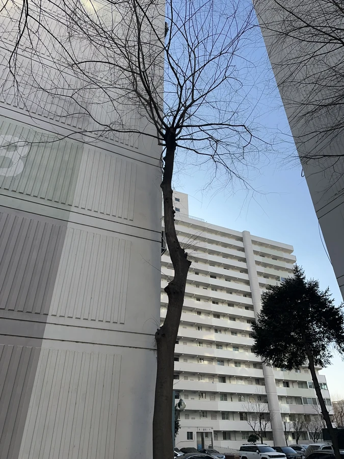 벌목,벌초