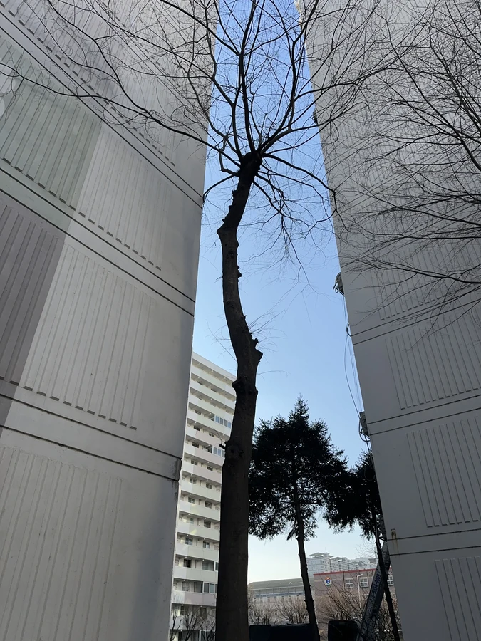 벌목,벌초