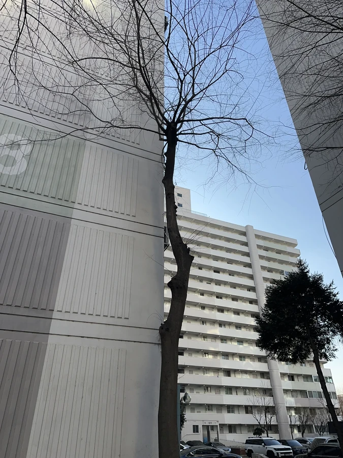 벌목,벌초