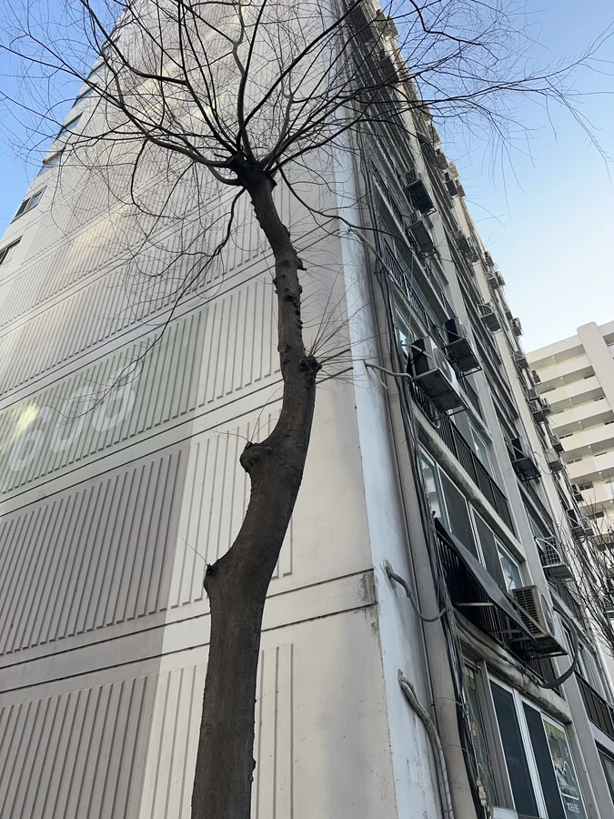 벌목,벌초
