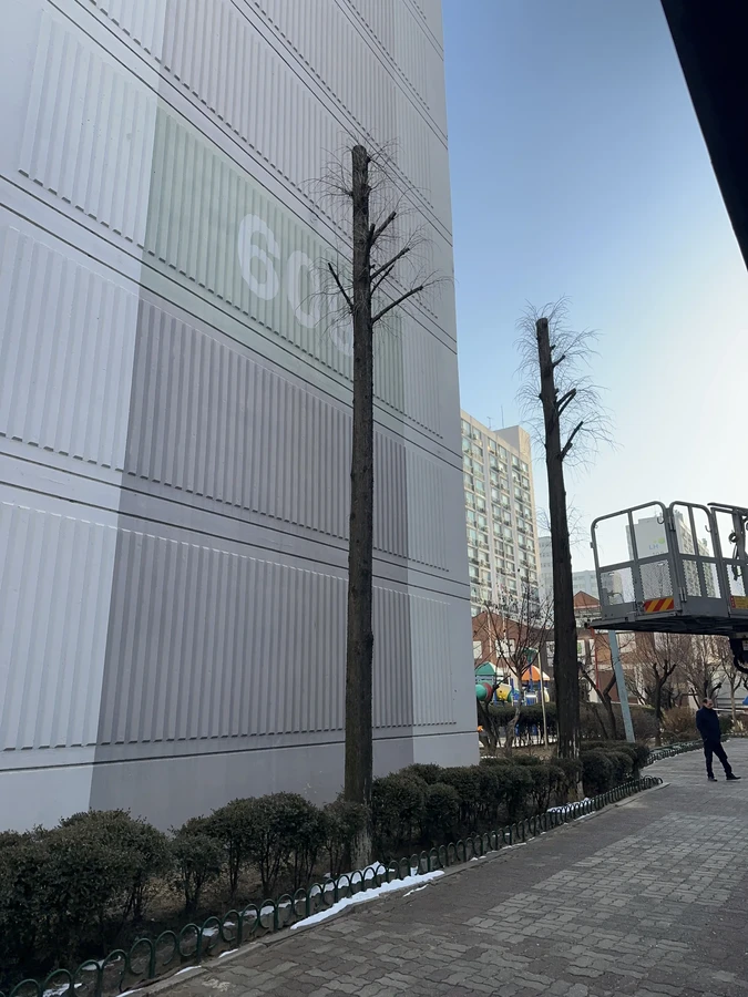 벌목,벌초