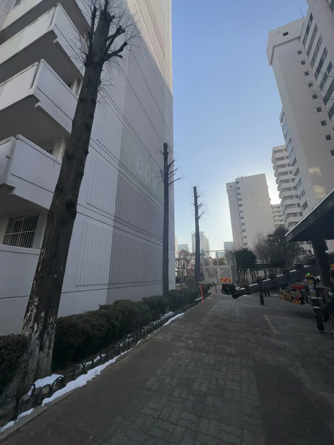 벌목,벌초