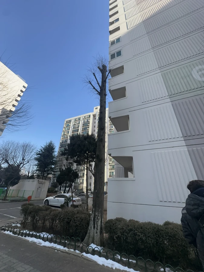 벌목,벌초