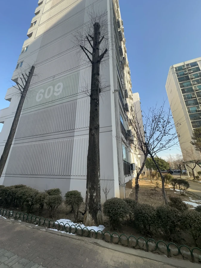 벌목,벌초