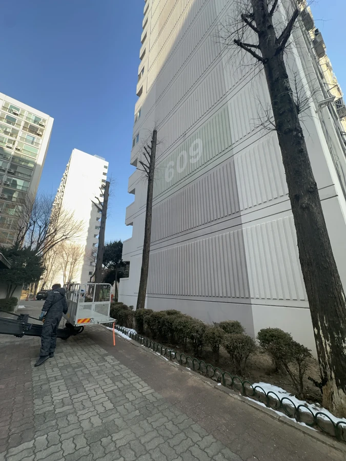 벌목,벌초