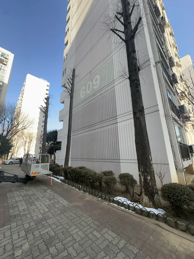벌목,벌초