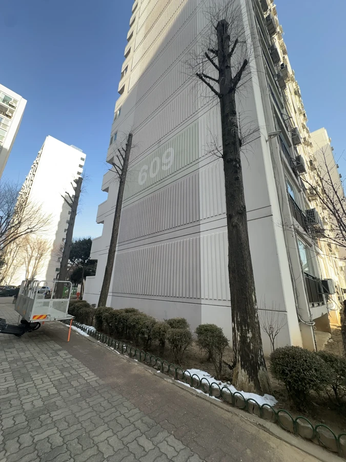 벌목,벌초