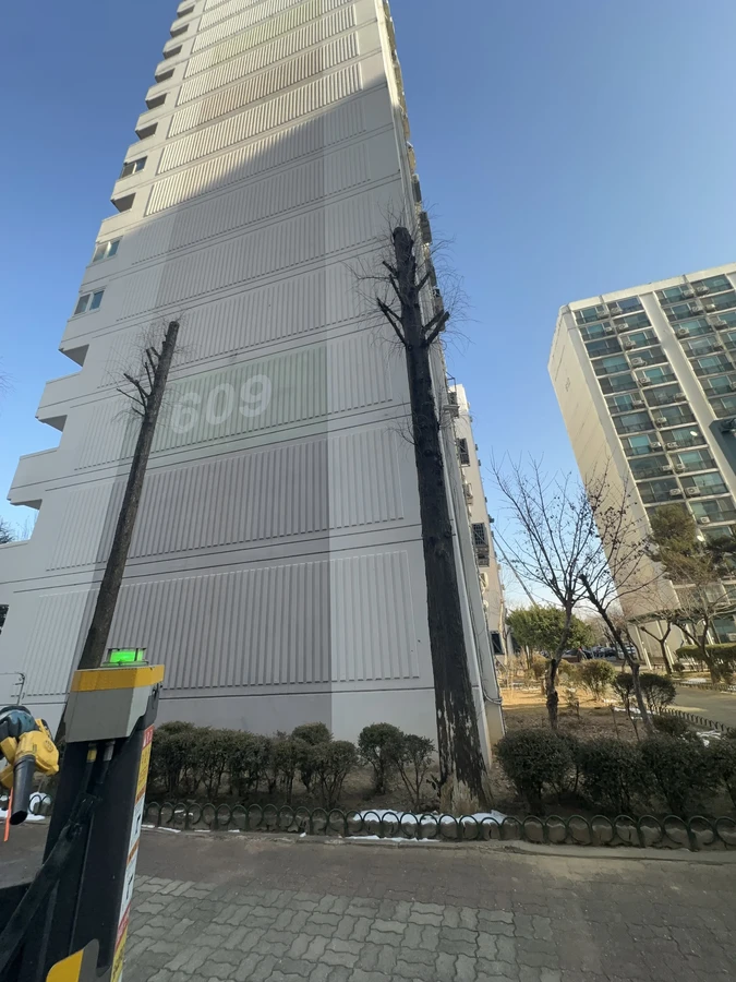 벌목,벌초
