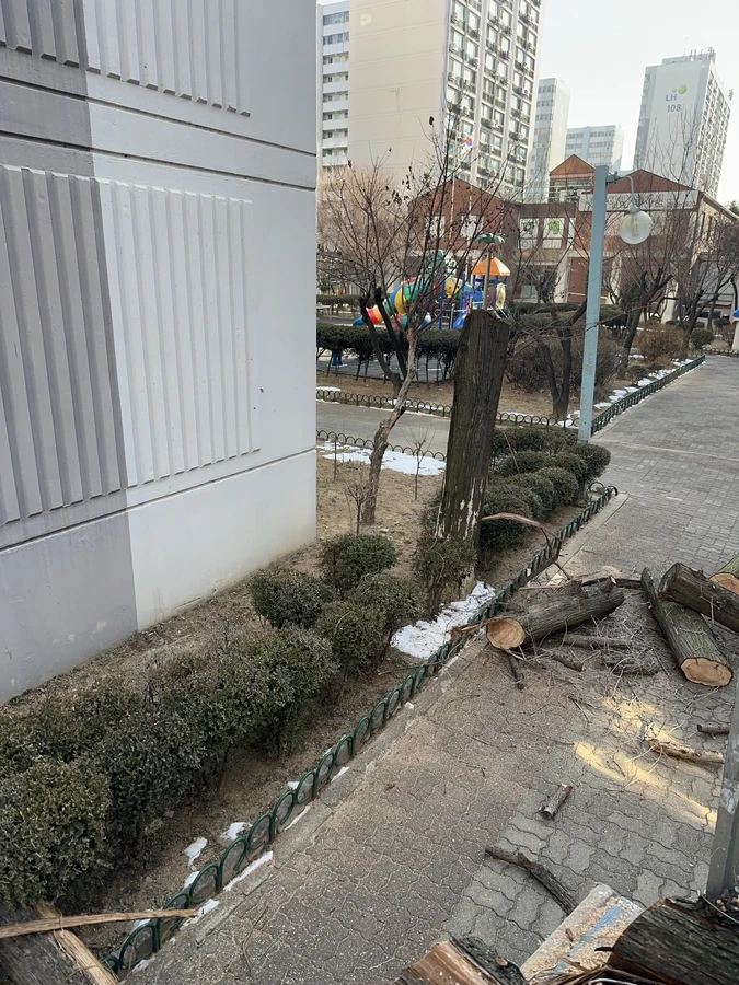 벌목,벌초