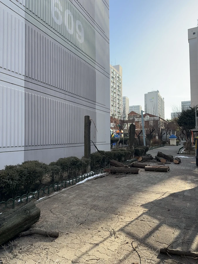 벌목,벌초