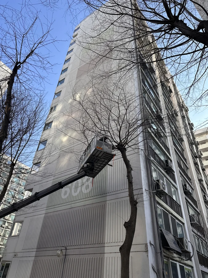 벌목,벌초