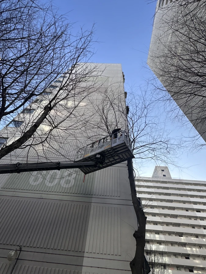 벌목,벌초