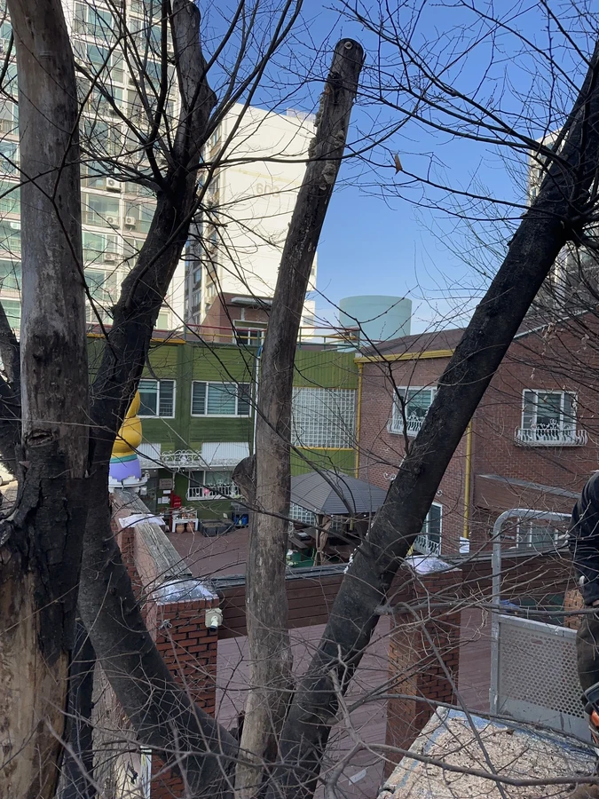 벌목,벌초