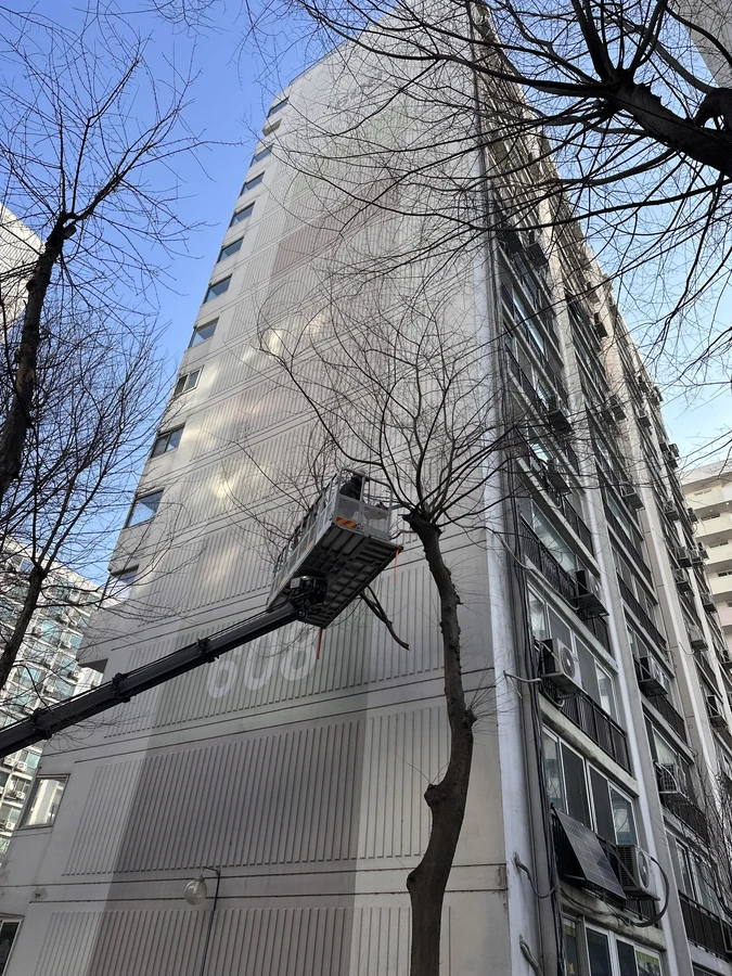벌목,벌초