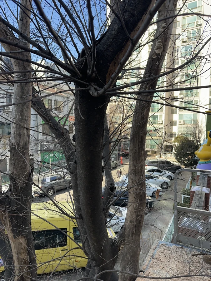 벌목,벌초