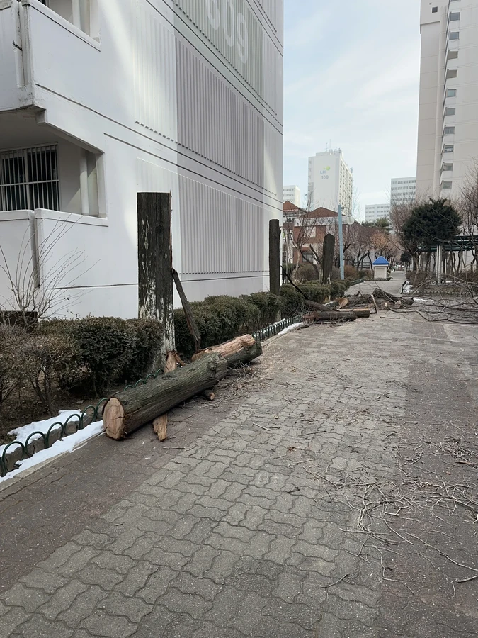 벌목,벌초