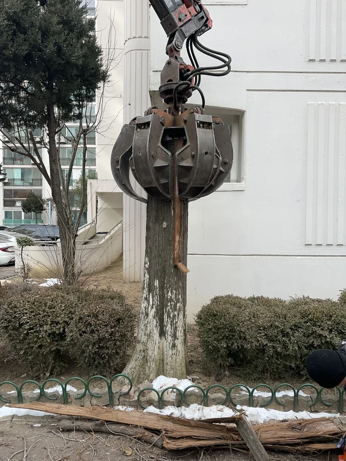 벌목,벌초