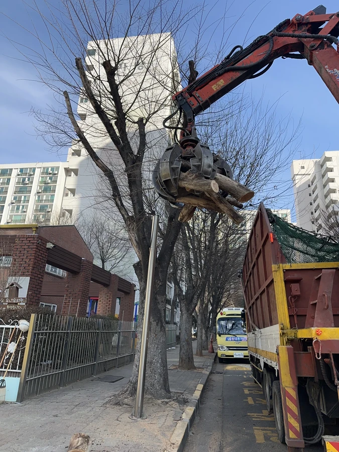 벌목,벌초