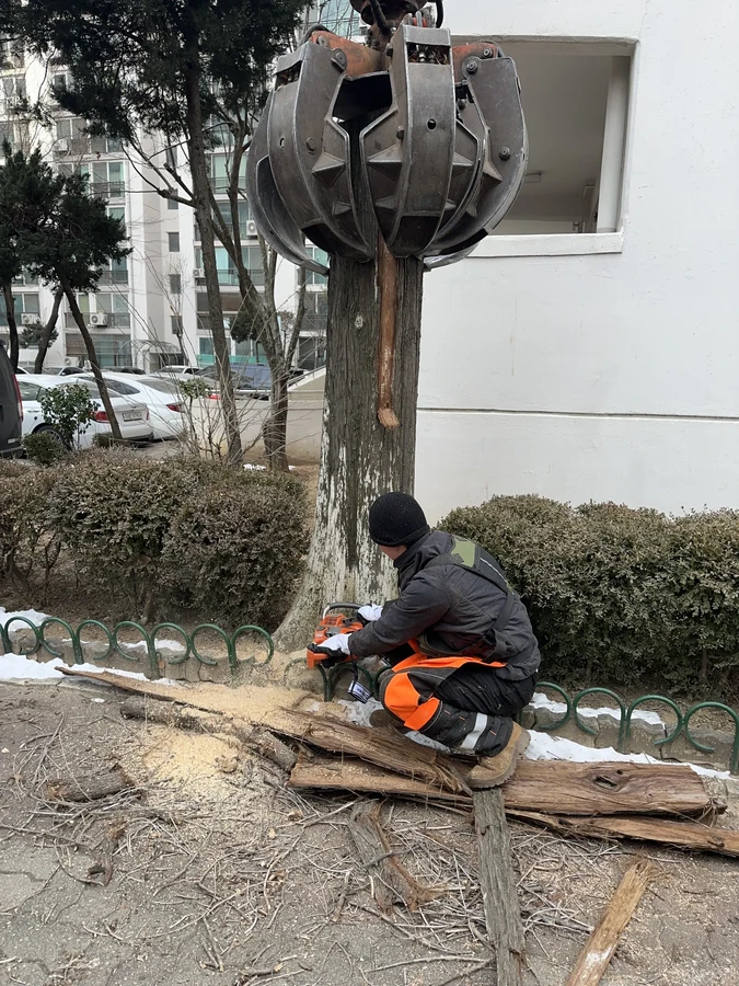 벌목,벌초
