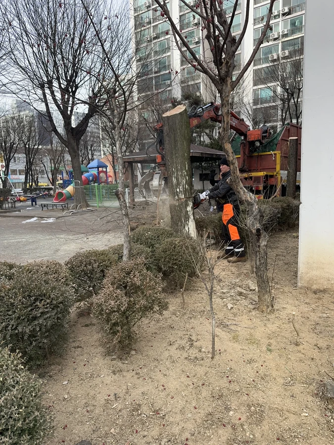 벌목,벌초