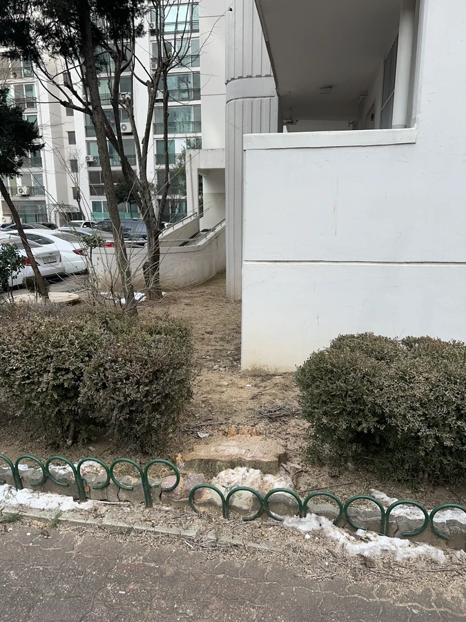 벌목,벌초