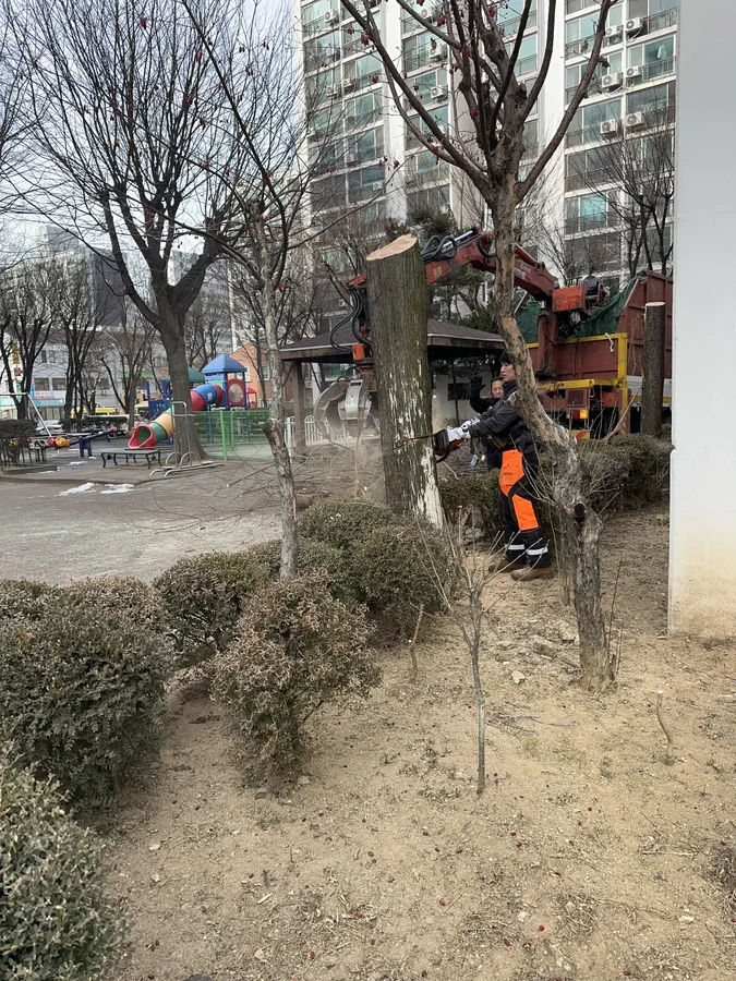 벌목,벌초