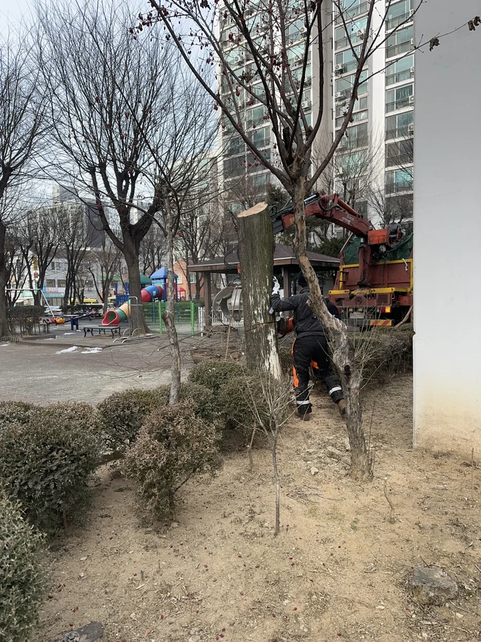 벌목,벌초
