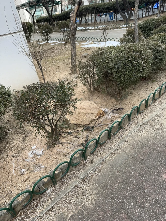 벌목,벌초