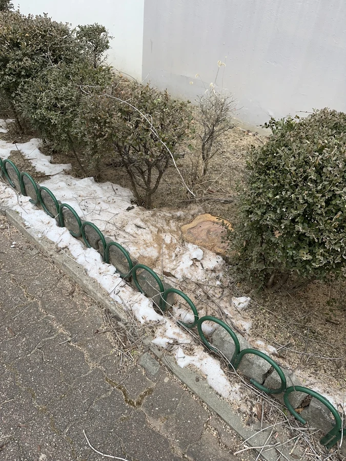 벌목,벌초