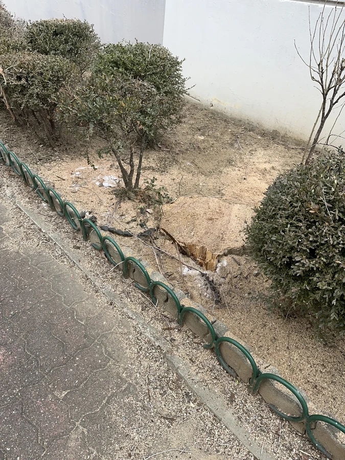 벌목,벌초