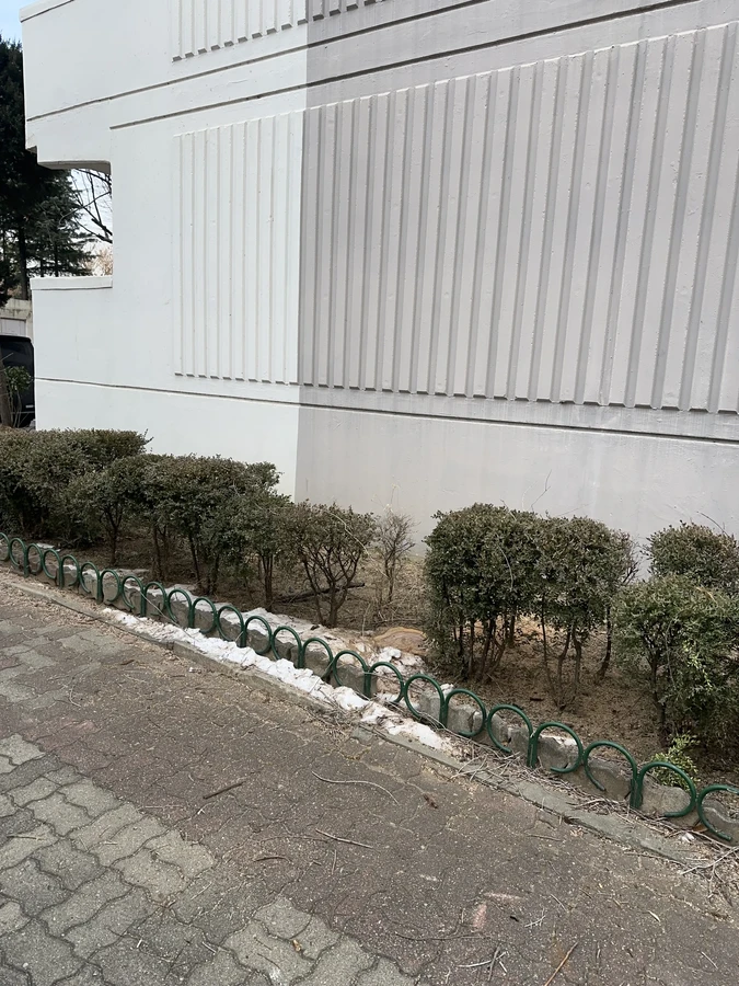 벌목,벌초